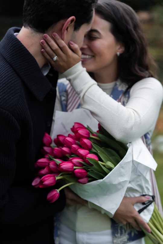 propuesta de matrimonio - el escorial