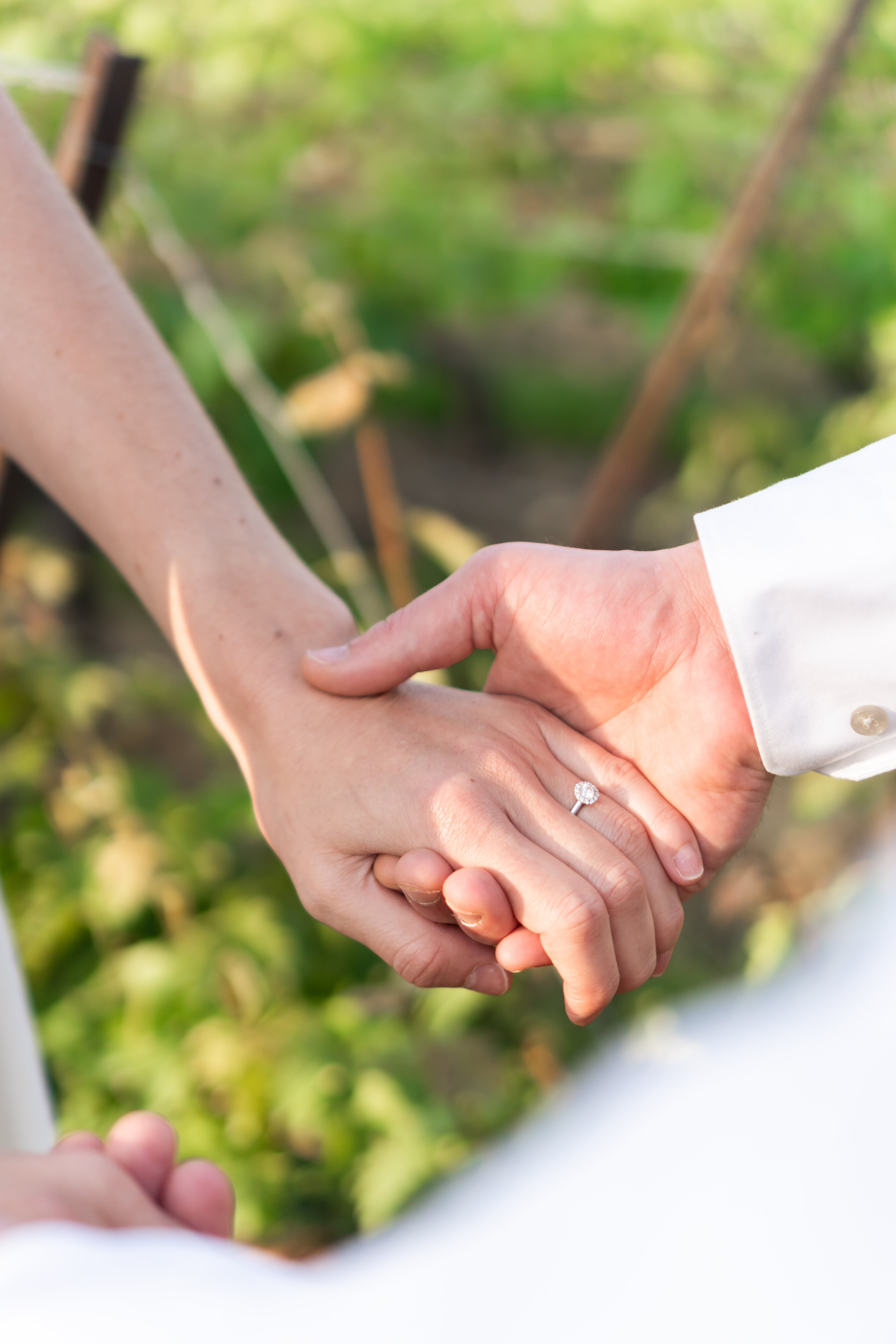 untitled-May28,2023-03714